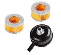 Plumflex Silenziatore compressore 20 mm filettatura in metallo, con elemento filtrante di ricambio 2 pezzi per l'ammissione di parti pneumatiche del porto