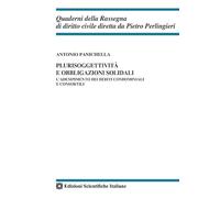 Plurisoggettività e obbligazioni solidali
