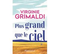 Plus grand que le ciel – Romanzo – Flammarion