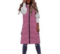 Plus Size Gilet da donna tinta unita con cerniera gilet giacca da donna piumino con cappuccio, Rd1., 3XL