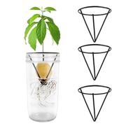 Plus tard 4 supporti per semi di avocado, per barattoli a bocca larga, supporto triangolare in metallo per familiari, amici e appassionati di giardinaggio