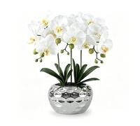 PlusFive Orchidea Finta Realistica Bianca 47 cm, Orchidee Finte, Orchidee Artificiali con vaso, Fiore di Orchidea Artificiale, Pianta Finta da Interno, Regalo Inaugurazione Casa, Soggiorno e Ufficio