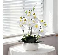 PlusFive Orchidee artificiali in vaso - Phalaenopsis in seta artificiale come vere orchidee per la decorazione della casa, decorazione della tavola, decorazione del davanzale della finestra