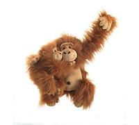 Plush & Company 15709 "Orazio" Orangotango - H.25 Cm