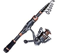 PLUSINNO Toray - Canna da pesca telescopica in carbonio da 24 tonnellate, 12+1 cuscinetti schermati, mulinello da spinning BB in acciaio inox