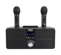 Plyisty Imposta il Portatile Microfono Karaoke, Microfono Portatile, Wireless Doppio, Scheda Di Memoria, Aux, Disco Flash USB, Schermo Di Visualizzazione (BLACK)