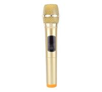Plyisty Microfono Wireless 2.4G, Microfono Dinamico Professionale con Ricevitore USB per Altoparlante del Telefono del Computer Karaoke da Palco All'aperto