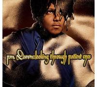 Pm Dawn - Looking Through Patient Eyes / Plastic