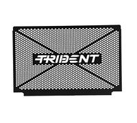 Pmandgk Accessori Protezione Copertura Griglia Del Radiatore Nero per Trident 660 2021 a 2022