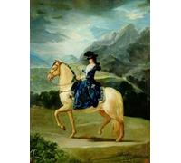 PMEFGJDPE Dipinti Famosi Arte Stampa Tela Stampa di Immagini Tela Retrato ecuestre de María Teresa De Vallabriga por Francisco De Goya per la Decorazione Della Parete 60x90cm