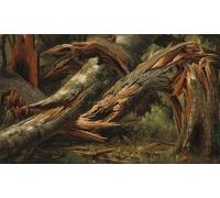 PMEFGJDPE Dipinti Famosi Poster Murale Poster Parete Quadri Árbol caído de Alexandre Calame per la Decorazione Domestica dell'ufficio 60x90cm