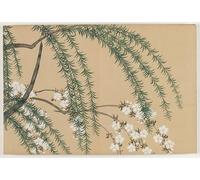 PMEFGJDPE Dipinti Famosi Poster Murale Poster Parete Quadri Flores de sauce y cerezo de los cien mundos de Kamisaka Sekka per la Decorazione Domestica dell'ufficio 60x90cm