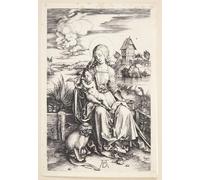 PMEFGJDPE Dipinti Famosi Stampa Pittura Arte Murale Della Pittura La dama del mono de Alberto Durero per L'arredamento del Soggiorno 60x90cm