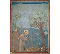 PMEFGJDPE Famoso Arte su Tela Pittura Astratta Santa predicación a los pájaros de Giotto Di Bondone per Decorazioni per la Casa 60x90cm