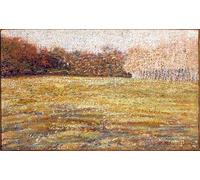 PMEFGJDPE Famoso Stampa Pittura Arte Murale Della Pittura En la Cascine Florencia de Plinio Nomellini per L'arredamento del Soggiorno 60x90cm