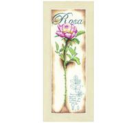 PN 0154334 enumerato Croce Kit, Rosa Rosa, Lino