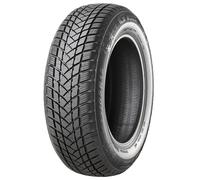 GT Radial Champiro Winterpro 2 (195/60 R16 89H)