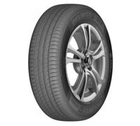DELINTE - 205/40 R17 84W DELINTE DS2 XL