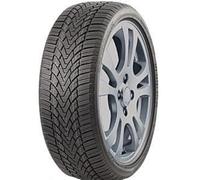 Roadmarch WINTERXPRO 888 225/55R17 101H XL BSW