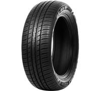 DOUBLE COIN - 225/55 R19 99V DC DS66 HP