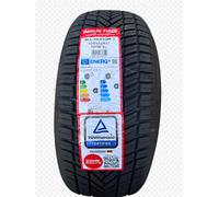 Berlin Tires All Season 2 Pneumatico 4 Stagioni 225/55 ZR17 101W XL - C/B/71dB