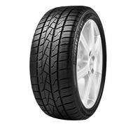 155/80 R13 79 T DELINTE - AW5 3PMSF (TL)