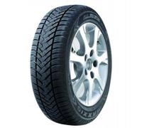 Maxxis AP2 All Season (165/60 R14 79H)