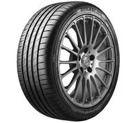 Goodyear EfficientGrip Performance (205/55 R17 91V)