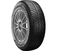 Cooper Discoverer Winter (225/55 R18 102V)