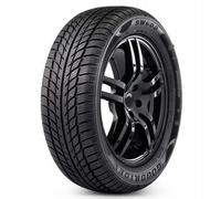 Goodride SW608 (205/45 R17 88H)