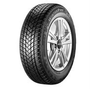 GT Radial Champiro Winterpro 2 (205/60 R16 96H)