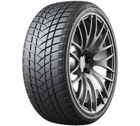 GT Radial WinterPro2 Sport (205/50 R17 93V)