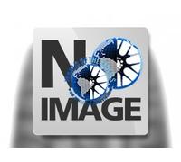 PNEUMATICI GOMME SHINKO 130/80 -17 65 H TL E705 REAR