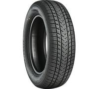 Pneumatici GRIPMAX SUREGRIP eWINTER 175/65/17 V 87 Invernali