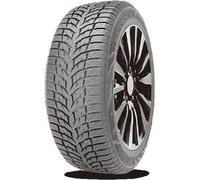DOUBLE STAR WINTERKING DW08 185/65 R15 88T