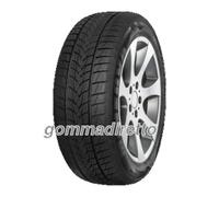215/65 R17 99V Pneumatico Invernale MINERVA FROSTRACK UHP M+S