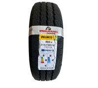 DELINTE - 215/75 R16 113S DELINTE DV2+