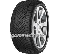 Pneumatici per tutte le stagio Minerva All Season Master 195/55 R16 91V XL M+S