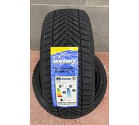 Sentury Seasonsdragon 2 (205/45 R17 88W)