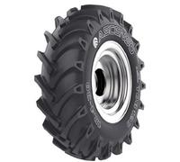 Pneumatico 8.3-24 ASCENSO TDB120 PR8 per trattore Made in India
