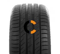 Pneumatico Estivo Auto DELINTE DS2 SUV 275/55 R20 117W B B 2 73dB XL