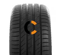 Pneumatico Estivo Auto DELINTE DS2 SUV XL 255/50 R20 109Y B B B 73dB XL