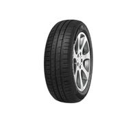 Minerva 209 165/60R14 75H