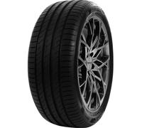DELINTE - 165/65 R14 79T DELINTE DS2