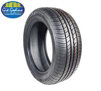 225 40 18 DOUBLE COIN DC100XL 92W