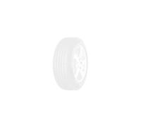 Pirelli ANGEL GT II TL Rear A 190/50 R17 73 W