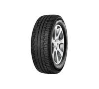 Pneumatici Winter 215 60 17 96H FORTUNA WI WINTER SUV