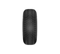 Nexen Winguard Ice Plus ( 205/55 R16 91T 4PR, Nordic compound )