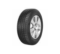Roadstone WinGuard Ice 205/55R16 91Q 3PMSF