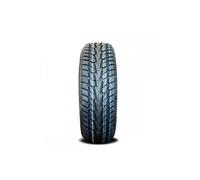 245/45 R19 102 H TORQUE - TQ 023 XL 3PMSF (TL)